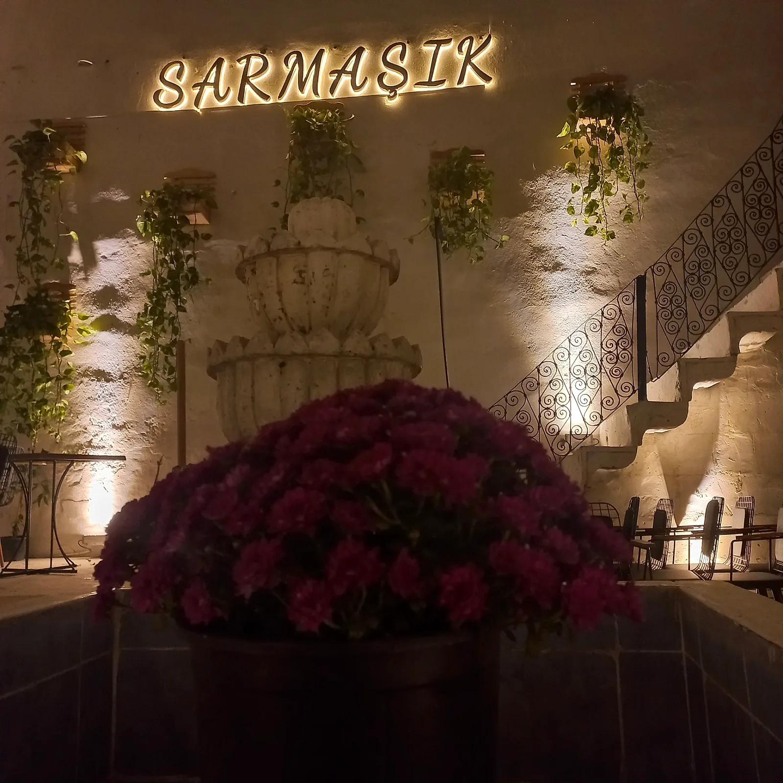 Sarmaşık — Işık Patlaması (Kutu Harf)