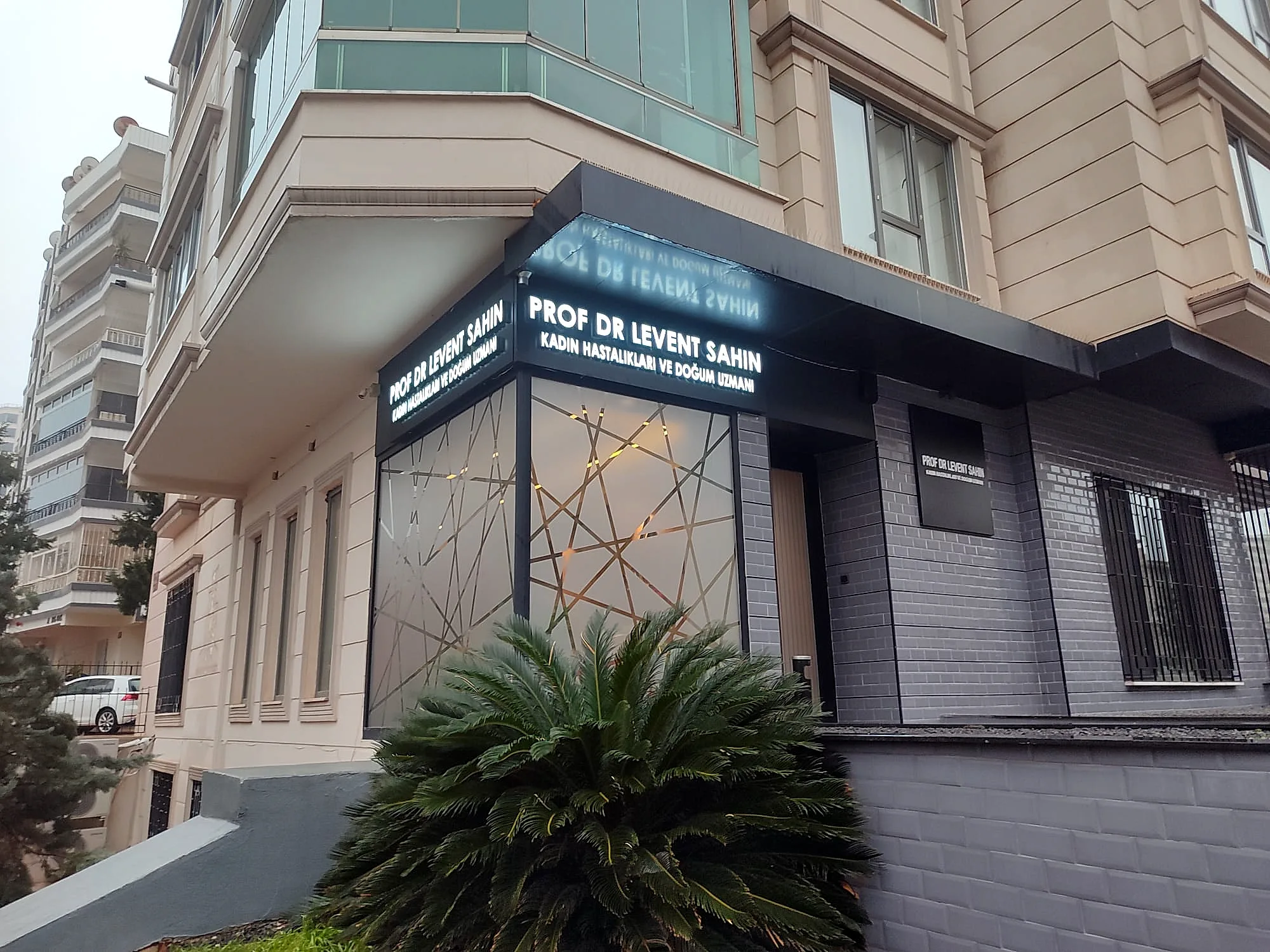 Prof Dr Levent Şahin — Light Box