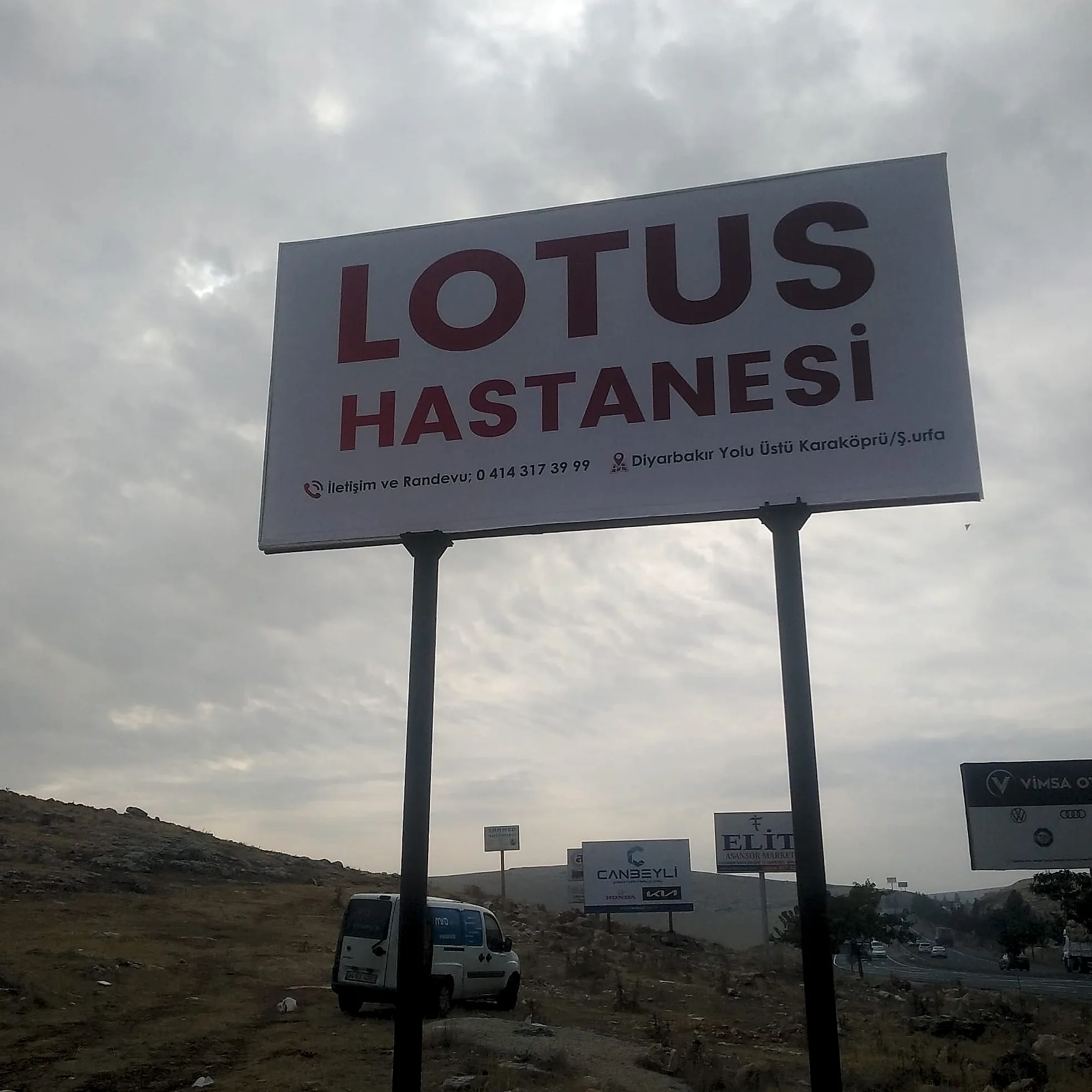 Lotus Totem Germe Vinil.jpeg